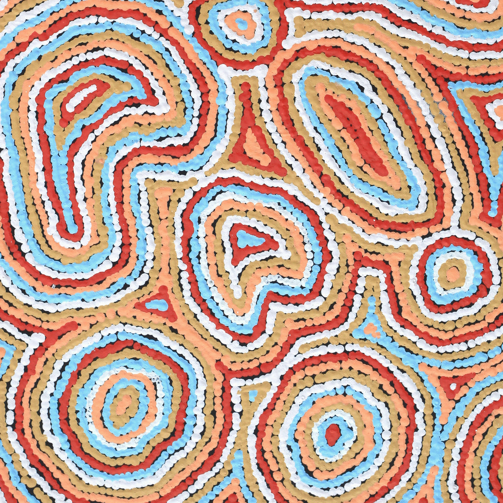 Aboriginal Artwork by Sarah Napaljarri Simms, Pikilyi Jukurrpa (Vaughan Springs Dreaming), 61x46cm