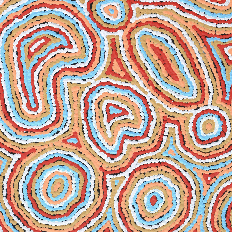 Aboriginal Artwork by Sarah Napaljarri Simms, Pikilyi Jukurrpa (Vaughan Springs Dreaming), 61x46cm