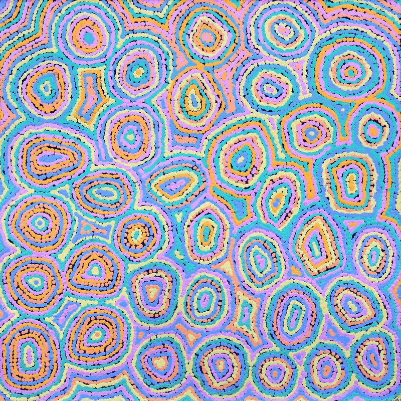 Aboriginal Artwork by Sarah Napaljarri Simms, Pikilyi Jukurrpa (Vaughan Springs Dreaming), 61x61cm
