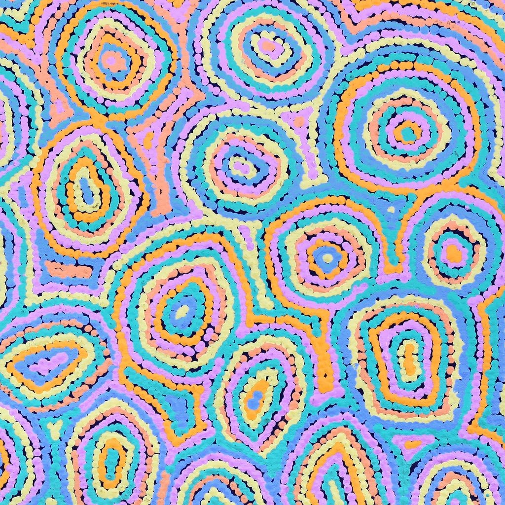 Aboriginal Artwork by Sarah Napaljarri Simms, Pikilyi Jukurrpa (Vaughan Springs Dreaming), 61x61cm