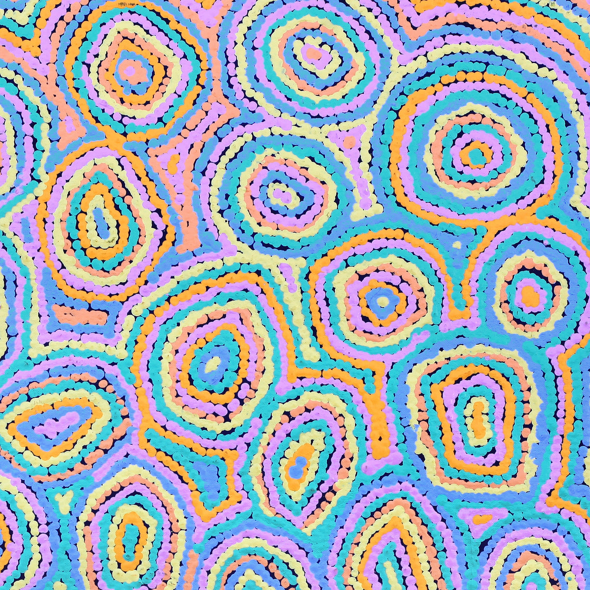Aboriginal Artwork by Sarah Napaljarri Simms, Pikilyi Jukurrpa (Vaughan Springs Dreaming), 61x61cm