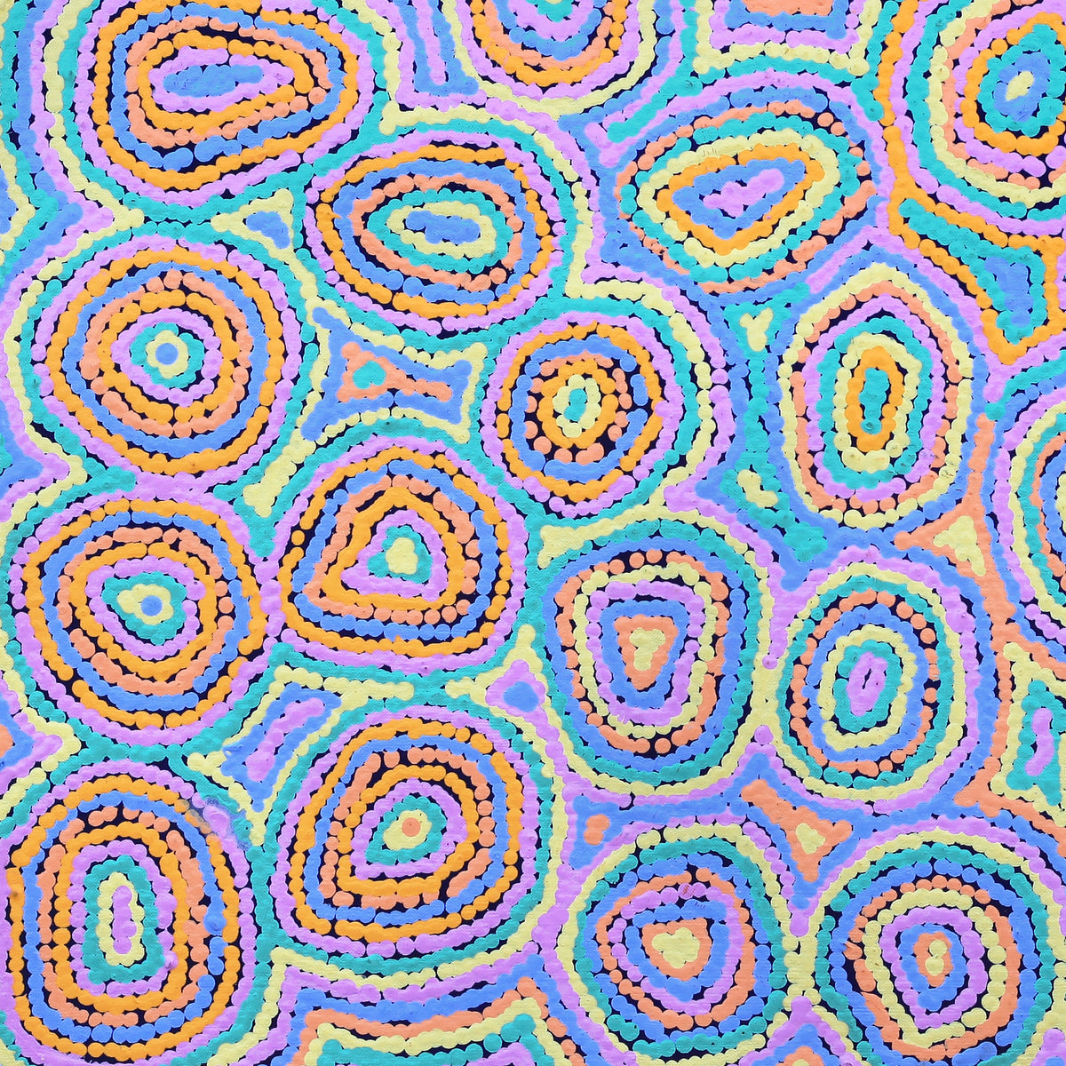 Aboriginal Artwork by Sarah Napaljarri Simms, Pikilyi Jukurrpa (Vaughan Springs Dreaming), 61x61cm