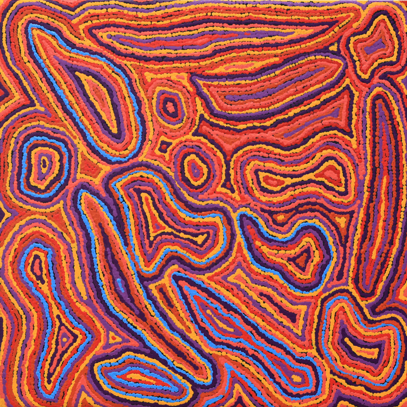 Aboriginal Artwork by Sarah Napaljarri Simms, Pikilyi Jukurrpa (Vaughan Springs Dreaming), 61x61cm