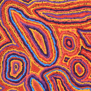 Aboriginal Artwork by Sarah Napaljarri Simms, Pikilyi Jukurrpa (Vaughan Springs Dreaming), 61x61cm - ART ARK®