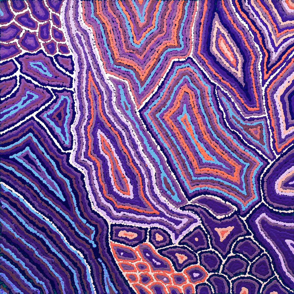 Aboriginal Artwork by Sarah Napaljarri Simms, Pikilyi Jukurrpa (Vaughan Springs Dreaming), 61x61cm