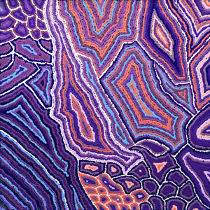 Aboriginal Artwork by Sarah Napaljarri Simms, Pikilyi Jukurrpa (Vaughan Springs Dreaming), 61x61cm - ART ARK®