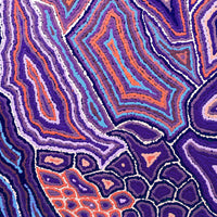 Aboriginal Artwork by Sarah Napaljarri Simms, Pikilyi Jukurrpa (Vaughan Springs Dreaming), 61x61cm