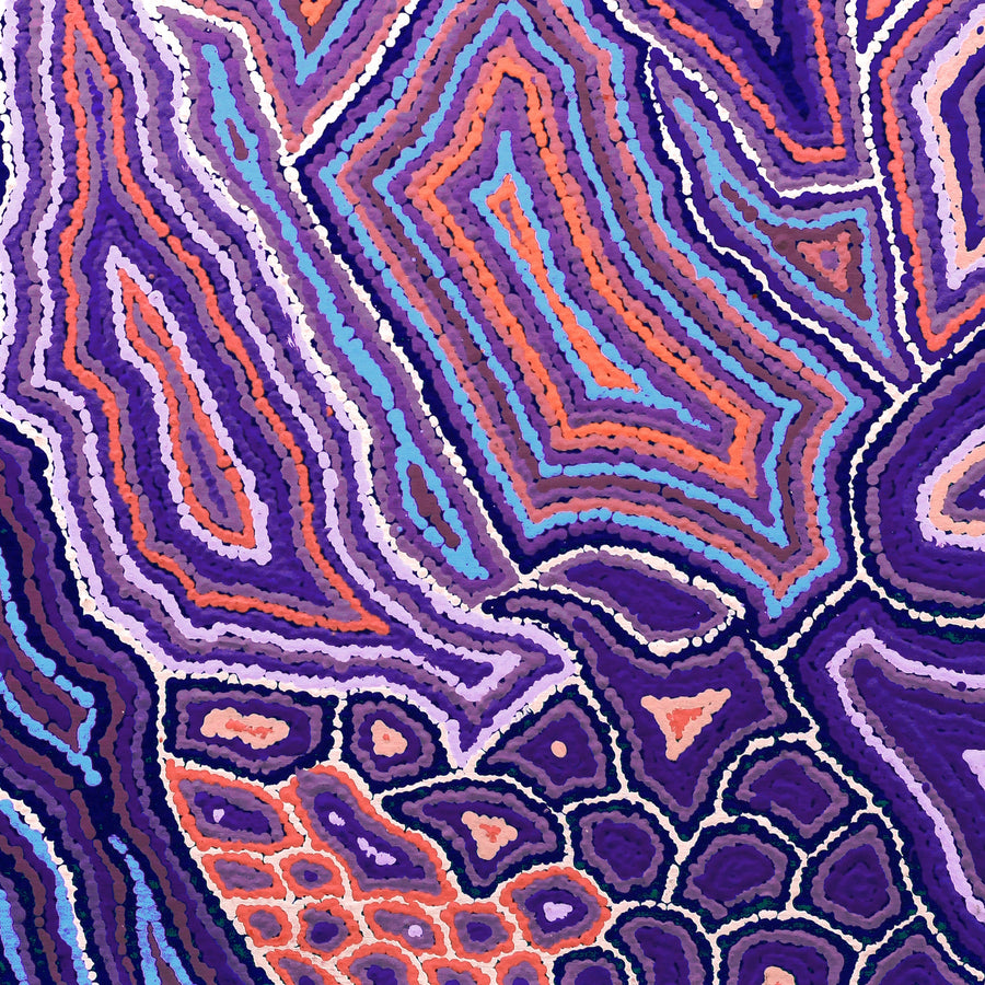 Aboriginal Artwork by Sarah Napaljarri Simms, Pikilyi Jukurrpa (Vaughan Springs Dreaming), 61x61cm