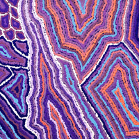 Aboriginal Artwork by Sarah Napaljarri Simms, Pikilyi Jukurrpa (Vaughan Springs Dreaming), 61x61cm