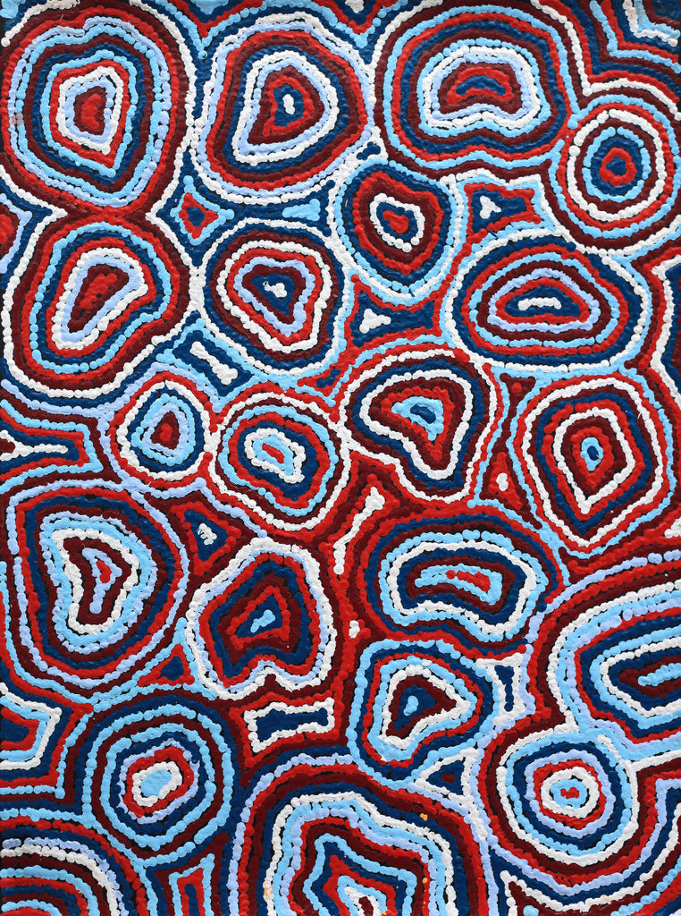 Aboriginal Artwork by Sarah Napaljarri Simms, Pikilyi Jukurrpa (Vaughan Springs Dreaming), 61x46cm