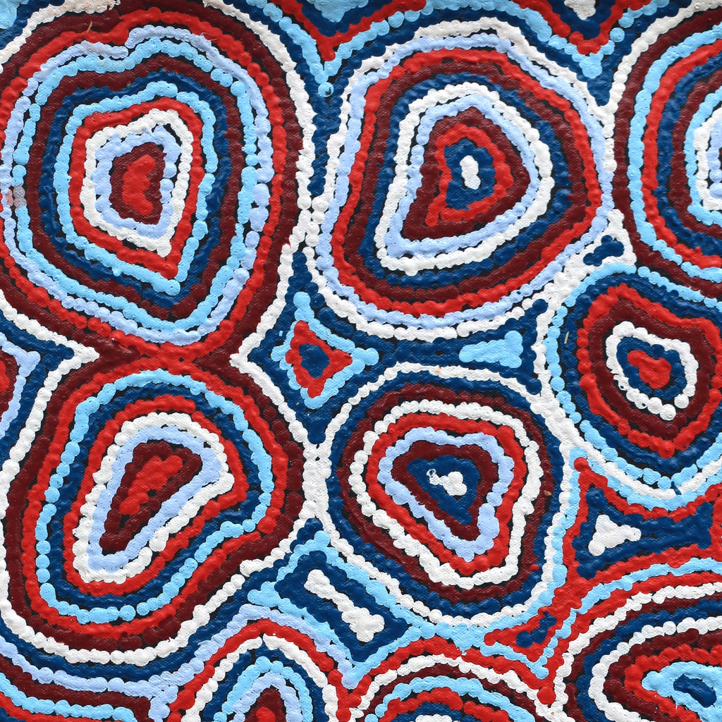 Aboriginal Artwork by Sarah Napaljarri Simms, Pikilyi Jukurrpa (Vaughan Springs Dreaming), 61x46cm