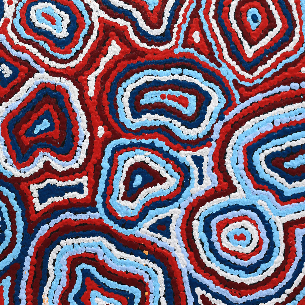 Aboriginal Artwork by Sarah Napaljarri Simms, Pikilyi Jukurrpa (Vaughan Springs Dreaming), 61x46cm