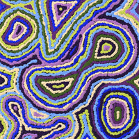 Aboriginal Artwork by Sarah Napaljarri Simms, Pikilyi Jukurrpa (Vaughan Springs Dreaming), 91x30cm