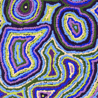Aboriginal Artwork by Sarah Napaljarri Simms, Pikilyi Jukurrpa (Vaughan Springs Dreaming), 91x30cm
