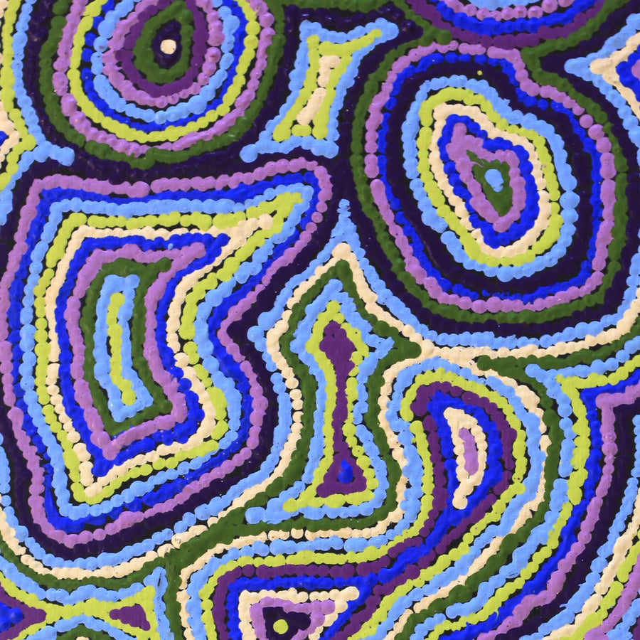 Aboriginal Artwork by Sarah Napaljarri Simms, Pikilyi Jukurrpa (Vaughan Springs Dreaming), 91x30cm
