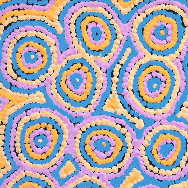 Aboriginal Artwork by Sarah Napaljarri Simms, Pikilyi Jukurrpa (Vaughan Springs Dreaming), 30x30cm