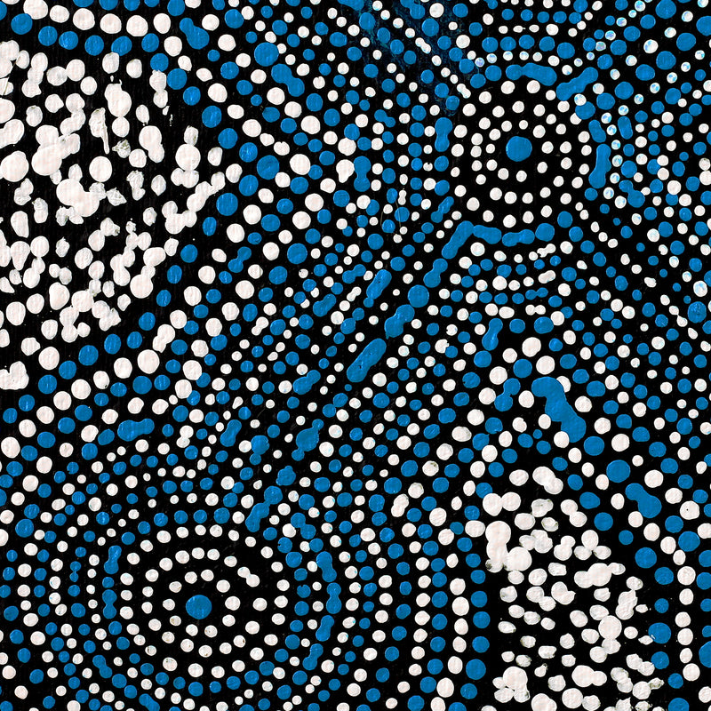 Aboriginal Artwork by Savannah Napurrurla Ross, Patterns of the Landscape around Yuendumu, 30x30cm