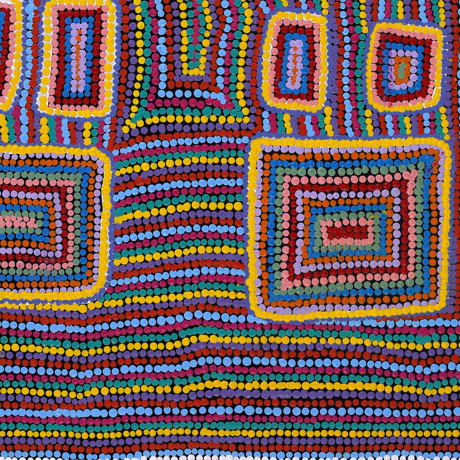 Aboriginal Artwork by Savonne Brown, Tjanpi, 61x51cm