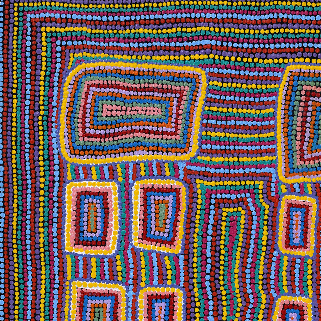 Aboriginal Art by Savonne Brown, Tjanpi, 61x51cm - ART ARK®