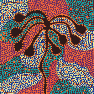 Aboriginal Artwork by Selma Napangardi Gibson, The Wanakiji Jukurrpa (bush tomato Dreaming) , 30x30cm - ART ARK®