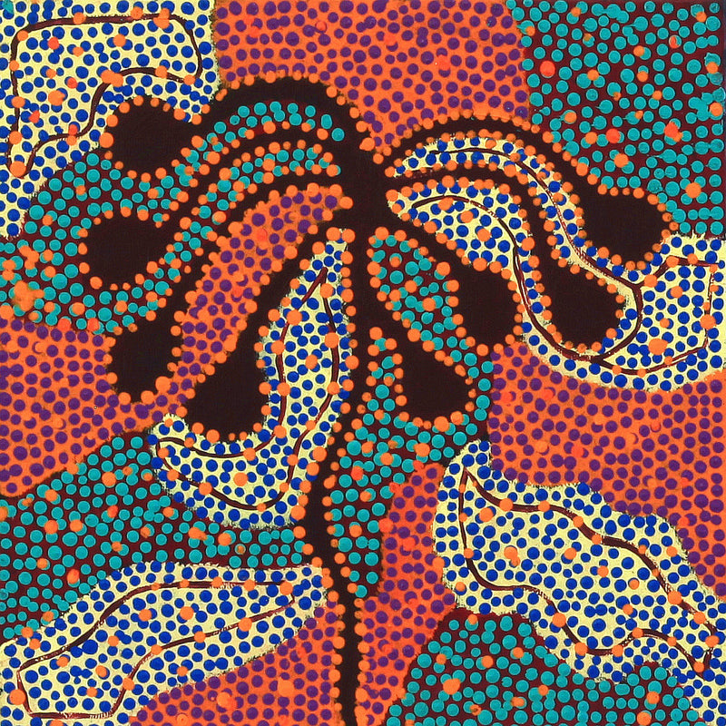 Aboriginal Artwork by Selma Napangardi Gibson, The Wanakiji Jukurrpa (bush tomato Dreaming) , 30x30cm