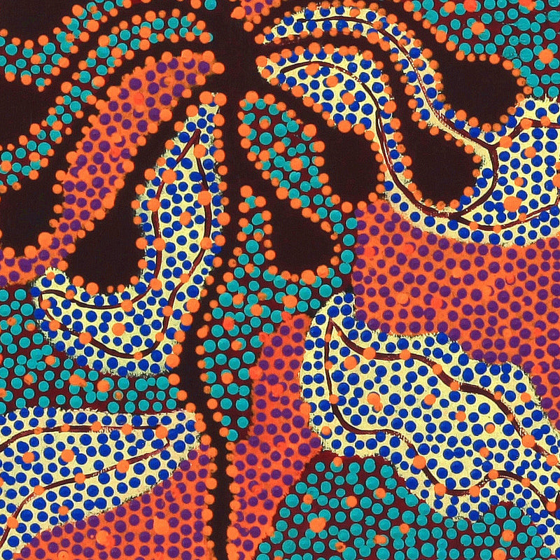 Aboriginal Artwork by Selma Napangardi Gibson, The Wanakiji Jukurrpa (bush tomato Dreaming) , 30x30cm