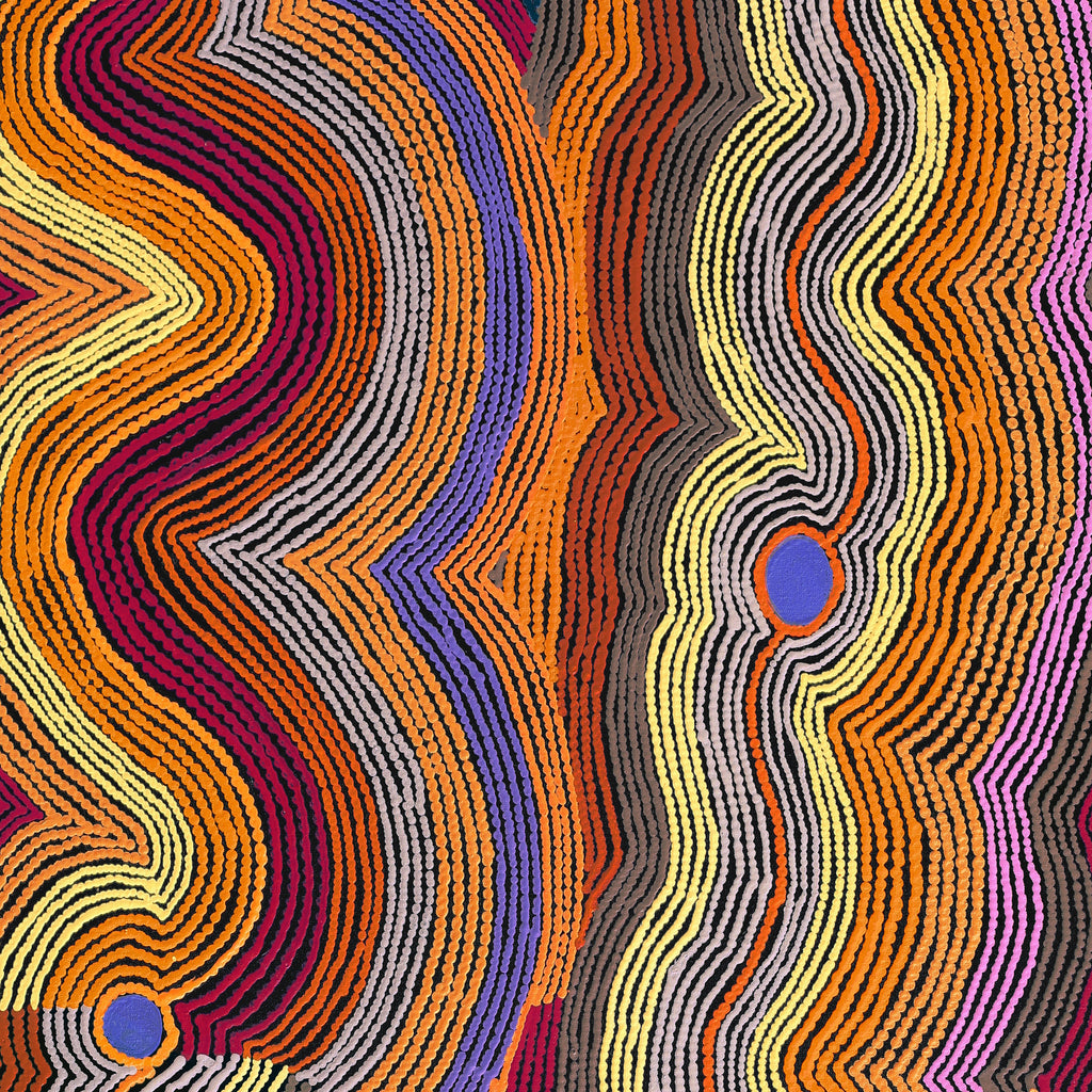 Aboriginal Artwork by Selina Napanangka Fisher, Pikilyi Jukurrpa (Vaughan Springs Dreaming), 122x61cm
