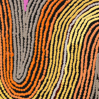 Aboriginal Artwork by Selina Napanangka Fisher, Pikilyi Jukurrpa (Vaughan Springs Dreaming), 152x122cm