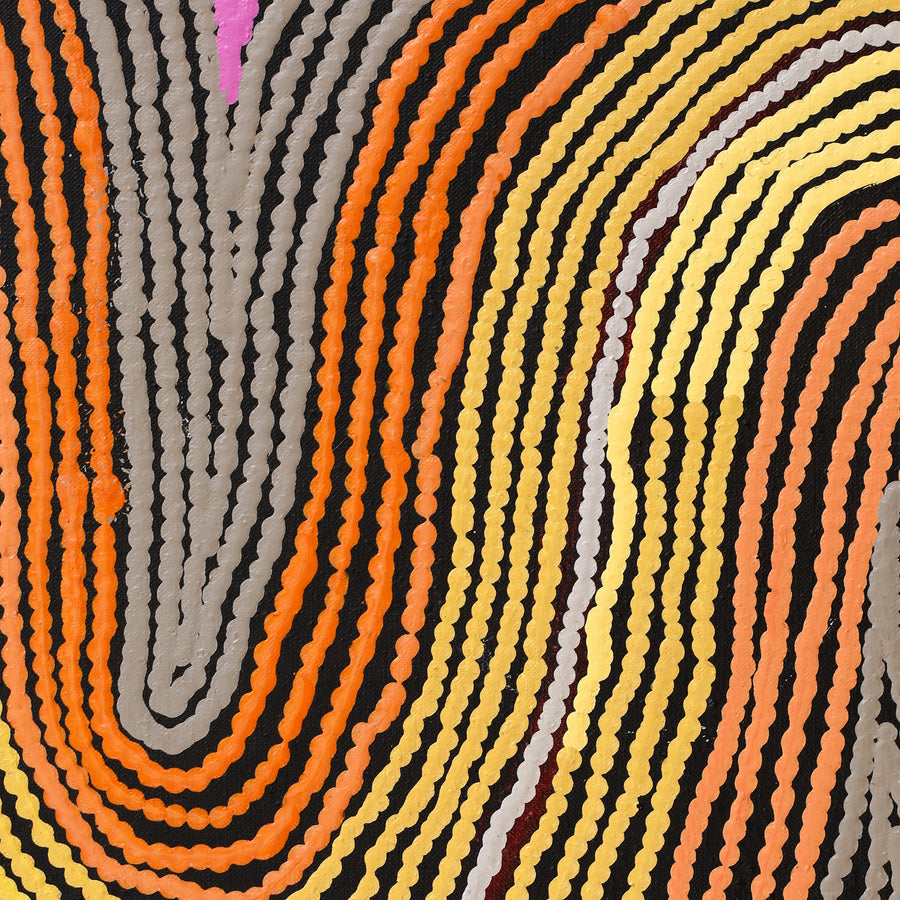 Aboriginal Artwork by Selina Napanangka Fisher, Pikilyi Jukurrpa (Vaughan Springs Dreaming), 152x122cm