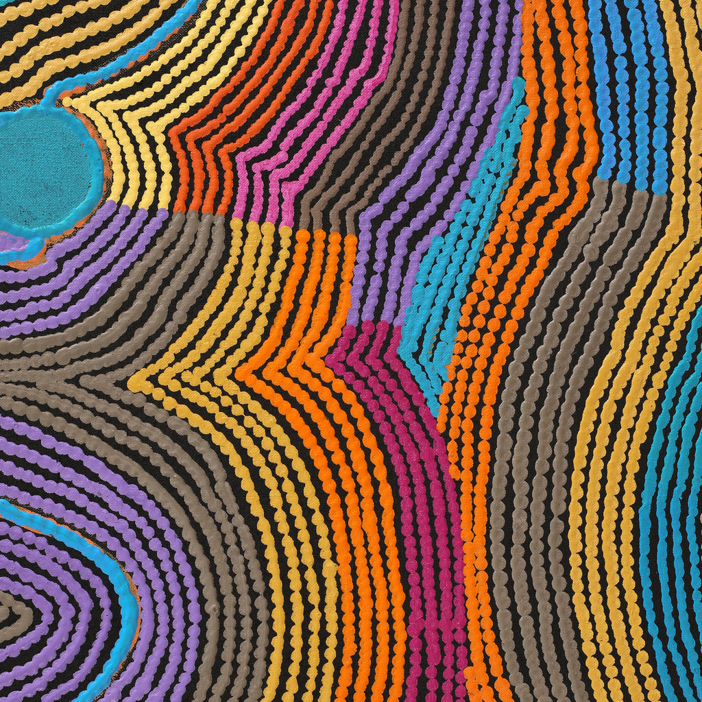 Aboriginal Artwork by Selina Napanangka Fisher, Pikilyi Jukurrpa (Vaughan Springs Dreaming), 183x91cm