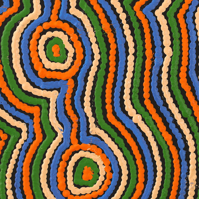 Aboriginal Artwork by Selina Napanangka Fisher, Pikilyi Jukurrpa (Vaughan Springs Dreaming), 30x30cm