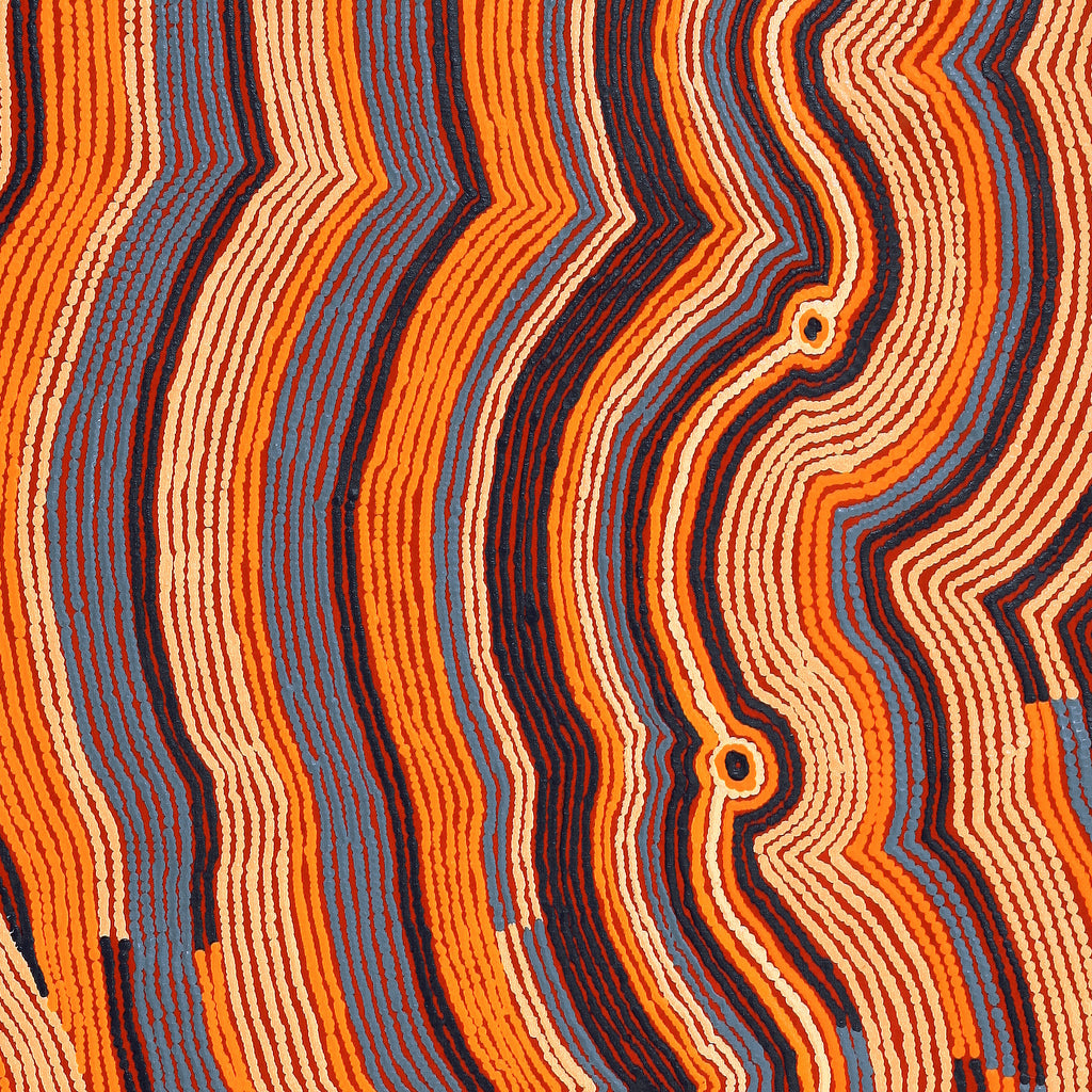 Aboriginal Artwork by Selina Napanangka Fisher, Pikilyi Jukurrpa (Vaughan Springs Dreaming) 107x76cm