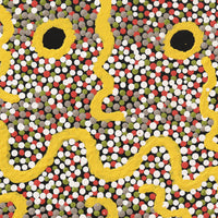Aboriginal Artwork by Selina Nakamarra Gorey, Patterns of the Landscape around Yuendumu, 30x30cm