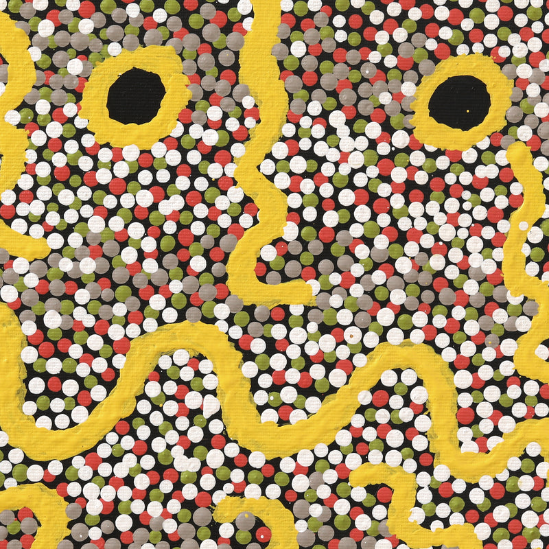 Aboriginal Artwork by Selina Nakamarra Gorey, Patterns of the Landscape around Yuendumu, 30x30cm