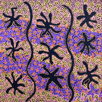 Aboriginal Artwork by Selina Nakamarra Gorey, Karnta Jukurrpa (Womens Dreaming), 30x30cm
