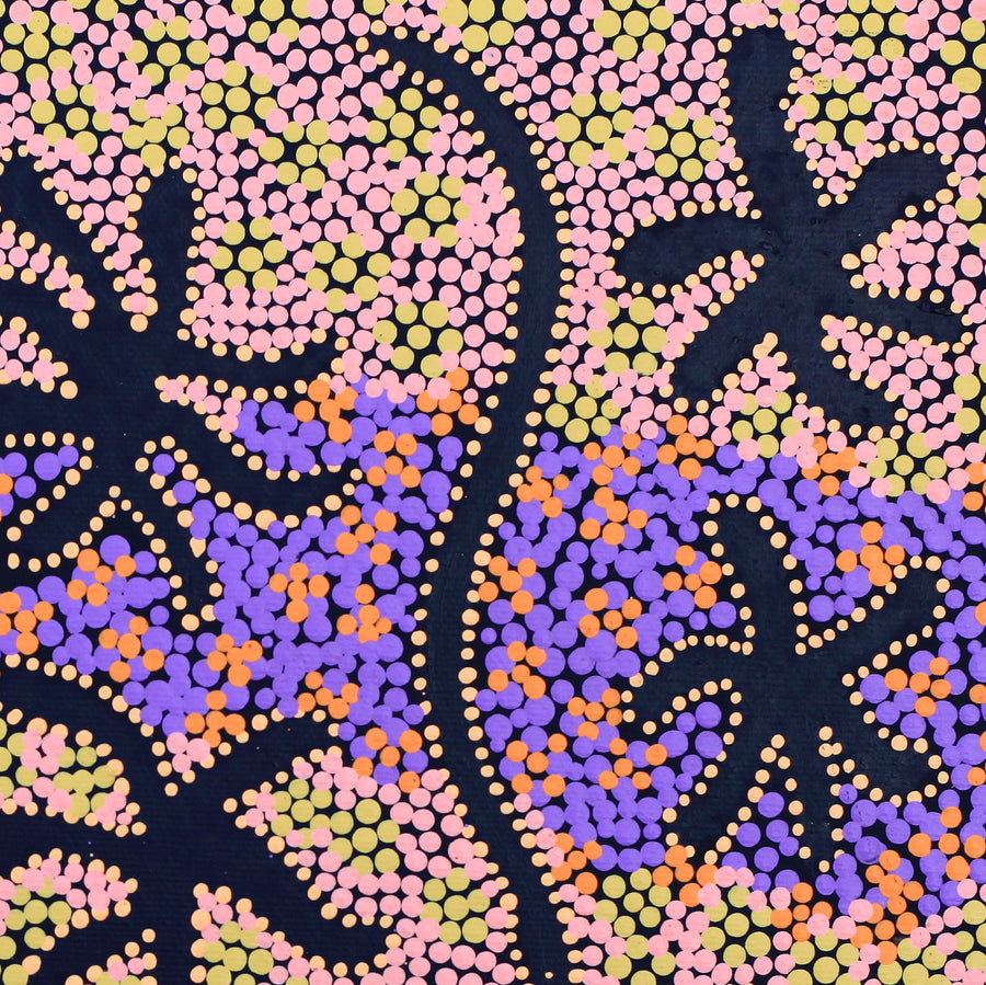 Aboriginal Artwork by Selina Nakamarra Gorey, Karnta Jukurrpa (Womens Dreaming), 30x30cm