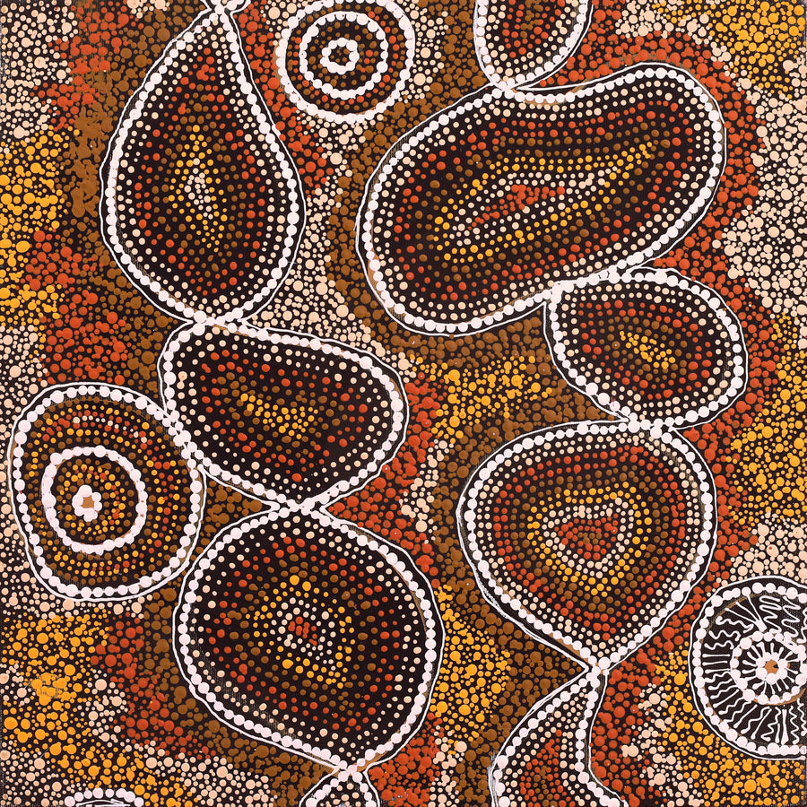 Aboriginal Artwork by Selma Napanangka Tasman, Wanakiji Jukurrpa (Bush Tomato Dreaming), 40x40cm