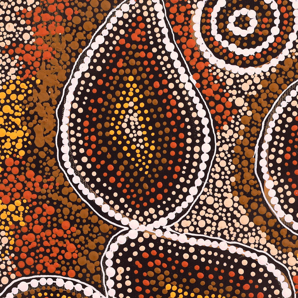Aboriginal Artwork by Selma Napanangka Tasman, Wanakiji Jukurrpa (Bush Tomato Dreaming), 40x40cm