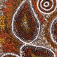 Aboriginal Artwork by Selma Napanangka Tasman, Wanakiji Jukurrpa (Bush Tomato Dreaming), 40x40cm