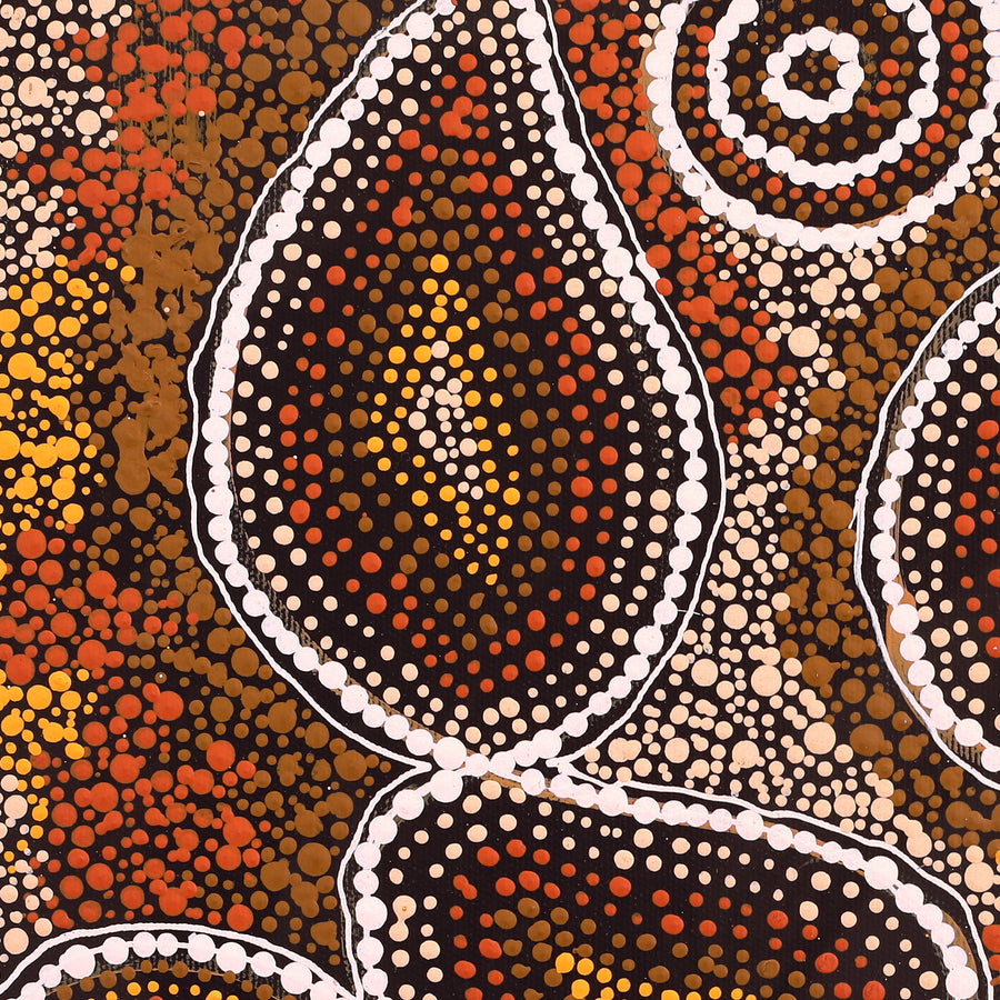 Aboriginal Artwork by Selma Napanangka Tasman, Wanakiji Jukurrpa (Bush Tomato Dreaming), 40x40cm