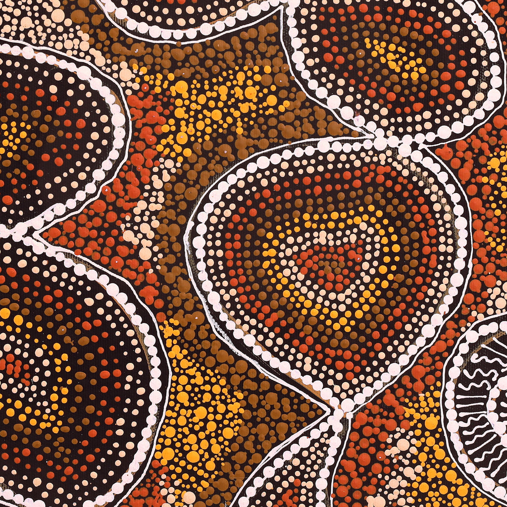 Aboriginal Artwork by Selma Napanangka Tasman, Wanakiji Jukurrpa (Bush Tomato Dreaming), 40x40cm
