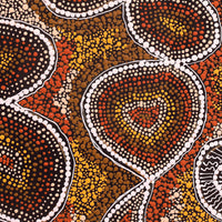 Aboriginal Artwork by Selma Napanangka Tasman, Wanakiji Jukurrpa (Bush Tomato Dreaming), 40x40cm