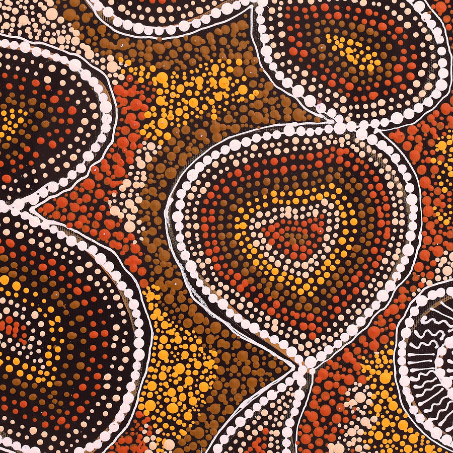 Aboriginal Artwork by Selma Napanangka Tasman, Wanakiji Jukurrpa (Bush Tomato Dreaming), 40x40cm