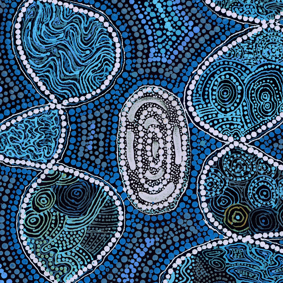 Aboriginal Artwork by Selma Napanangka Tasman, Wanakiji Jukurrpa (Bush Tomato Dreaming), 61x46cm