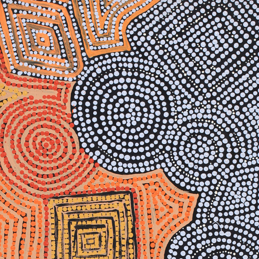 Aboriginal Artwork by Selma Napanangka Tasman, Wanakiji Jukurrpa (Bush Tomato Dreaming), 76x30cm