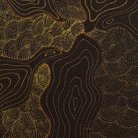 Aboriginal Artwork by Senita Napangardi Granites, Ngurlu Jukurrpa (Native Seed Dreaming), 30x30cm