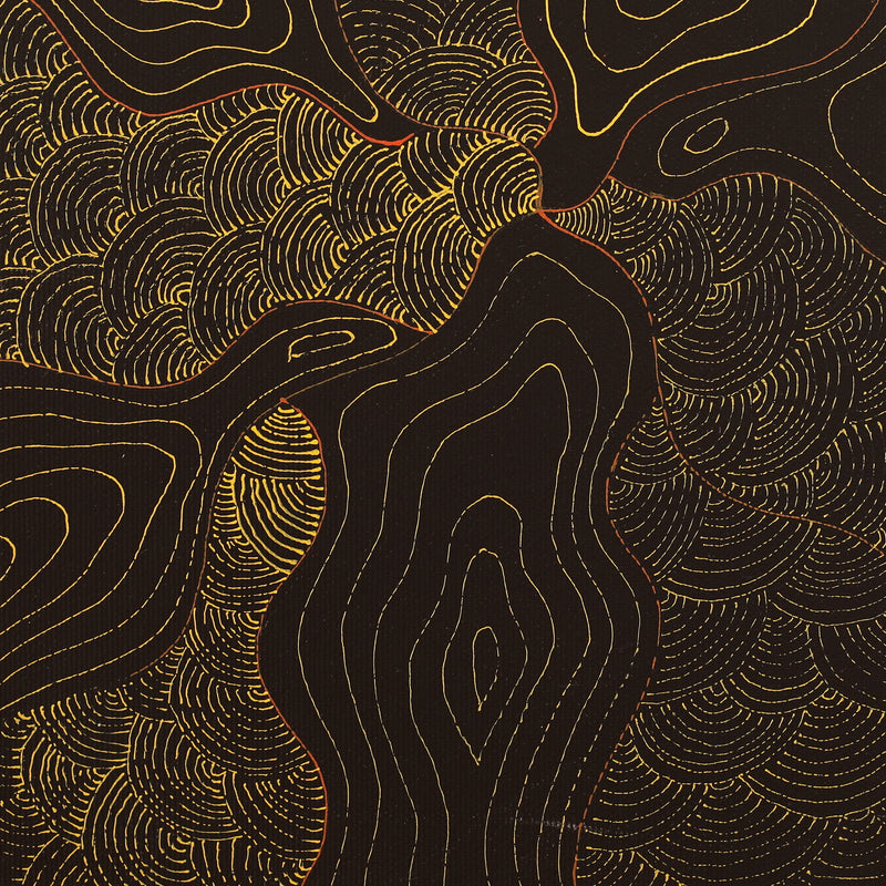 Aboriginal Artwork by Senita Napangardi Granites, Ngurlu Jukurrpa (Native Seed Dreaming), 30x30cm