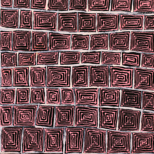 Aboriginal Artwork by Senita Napangardi Granites, Ngurlu Jukurrpa (Native Seed Dreaming), 61x30cm - ART ARK®