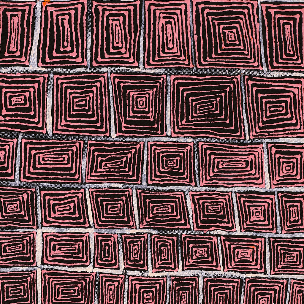 Aboriginal Artwork by Senita Napangardi Granites, Ngurlu Jukurrpa (Native Seed Dreaming), 61x30cm - ART ARK®