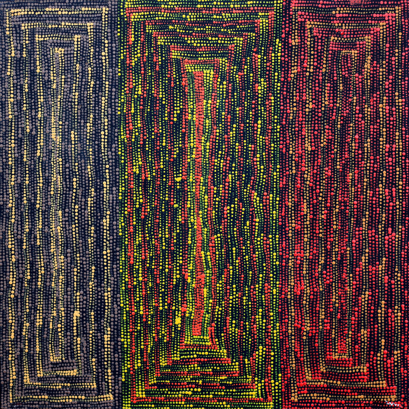 Aboriginal Artwork by Senita Napangardi Granites, Lukarrara Jukurrpa, 30x30cm